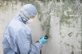 Best Industrial Mold Remediation  in Juarez, TX